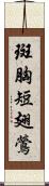 斑胸短翅鶯 Scroll