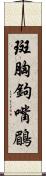 斑胸鉤嘴鶥 Scroll