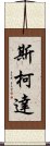 斯柯達 Scroll