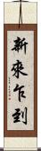 新來乍到 Scroll
