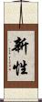 新性 Scroll