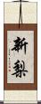 新梨 Scroll