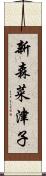 新森菜津子 Scroll