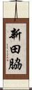 新田脇 Scroll
