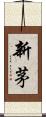 新茅 Scroll