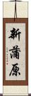 新蒲原 Scroll