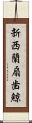 新西蘭扇歯鯨 Scroll