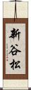 新谷松 Scroll