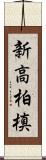 新高柏槙 Scroll