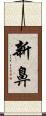 新鼻 Scroll