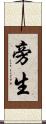 旁生 Scroll