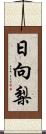 日向梨 Scroll