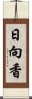 日向香 Scroll