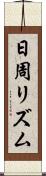 日周リズム Scroll