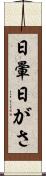 日暈 Scroll