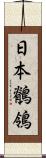 日本鶺鴒 Scroll