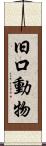 旧口動物 Scroll