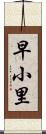 早小里 Scroll