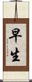 早生 Scroll