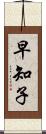早知子 Scroll