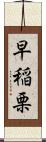早稲栗 Scroll
