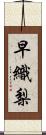 早織梨 Scroll