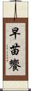 早苗饗 Scroll