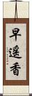 早遥香 Scroll