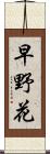 早野花 Scroll