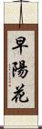 早陽花 Scroll
