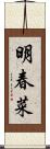 明春菜 Scroll
