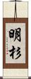 明杉 Scroll