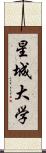 星城大学 Scroll