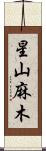 星山麻木 Scroll