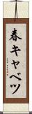 春キャベツ Scroll