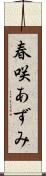春咲あずみ Scroll