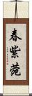 春紫菀 Scroll