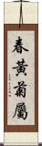 春黃菊屬 Scroll