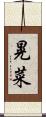 晃菜 Scroll