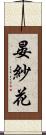 晏紗花 Scroll