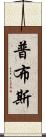普布斯 Scroll