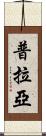 普拉亞 Scroll