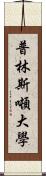 普林斯噸大學 Scroll