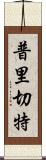 普里切特 Scroll