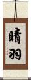 晴羽 Scroll