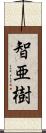 智亜樹 Scroll