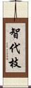 智代枝 Scroll