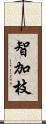 智加枝 Scroll