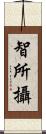 智所攝 Scroll