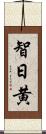 智日黄 Scroll